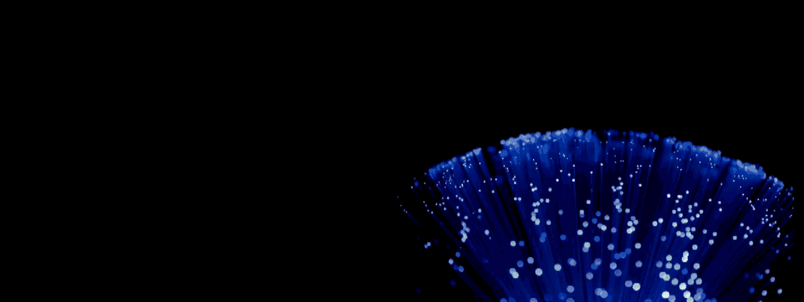 World Economic Forum